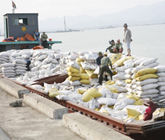 KT_VN_phuc_hoi_nhanh