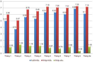 Kim_ngach_XNK-9-thang-2010