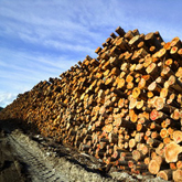 wood