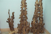 tramhuong