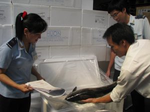 haiquan1