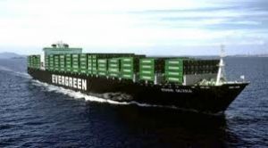 evergreen1-600x0