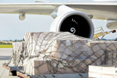 IAG3