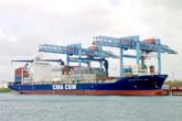 cma38