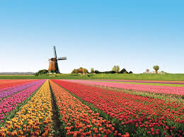 holland