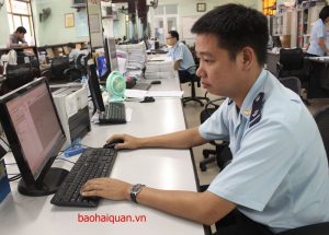 haiquan61
