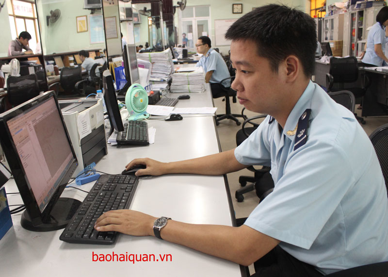 haiquan61
