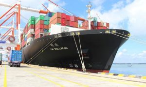 CMTV-_YangMing