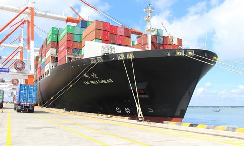 CMTV-_YangMing