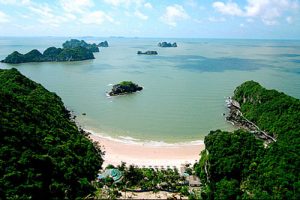 CatHai