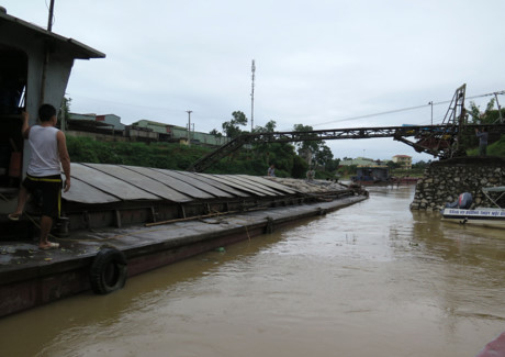 duongthuy5