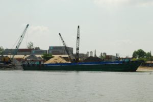 thuynoidia