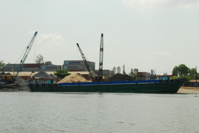 thuynoidia